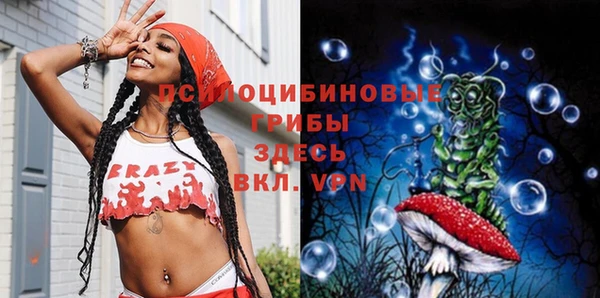 Альфа ПВП Баксан