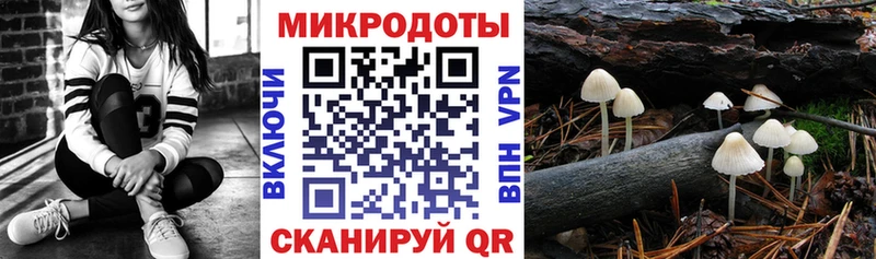 hydra как войти  Озёрск  Псилоцибиновые грибы ЛСД 